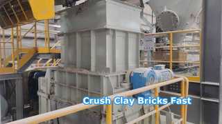 Frantoio a cilindro del dente