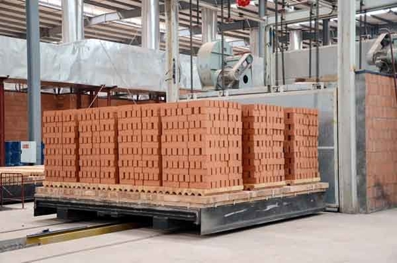 Clay Brick Tunnel Kiln Technology refrattario automatico ha personalizzato