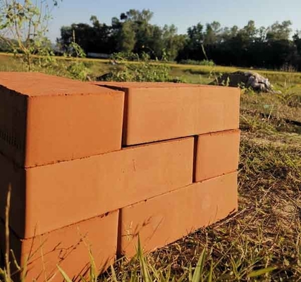 Linea 2,5 ~ di Clay Brick Making Machine Production del fango pressione d'espulsione 2.8MPa