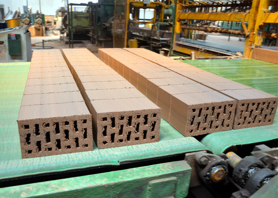Pressione automatica completa ISO9001 di Clay Block Cutter Machine Hydraulic della taglierina del mattone: 2008