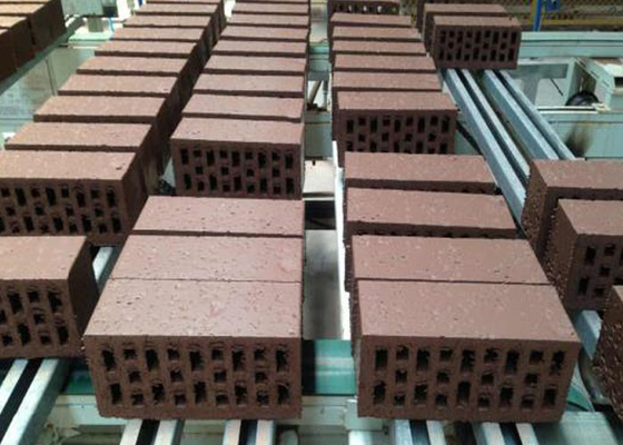 Clay Red Brick Making Machine di collegamento con il progetto più asciutto della camera