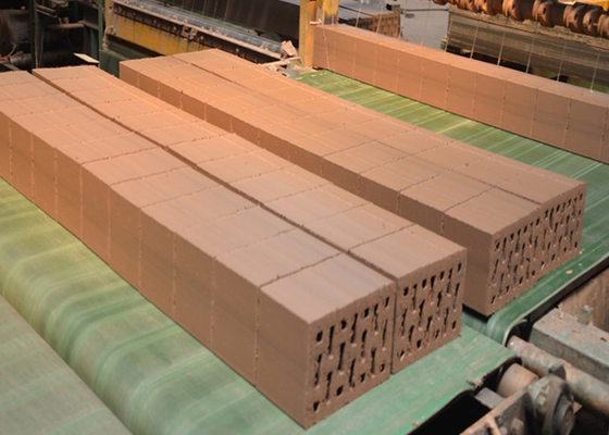 Macchina di taglio di mattoni in argilla QTQD-1 con lunghezza 1254 mm e altezza di taglio massima 300 mm per il taglio preciso di pareti di mattoni