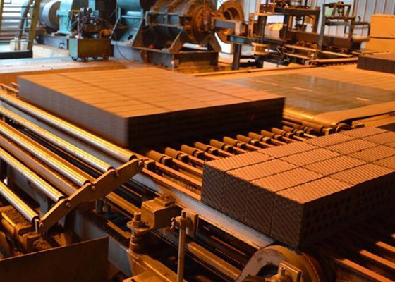 Macchina di formatura vuota del mattone di Ash Automatic Clay Brick Machine della mosca con l'essiccatore