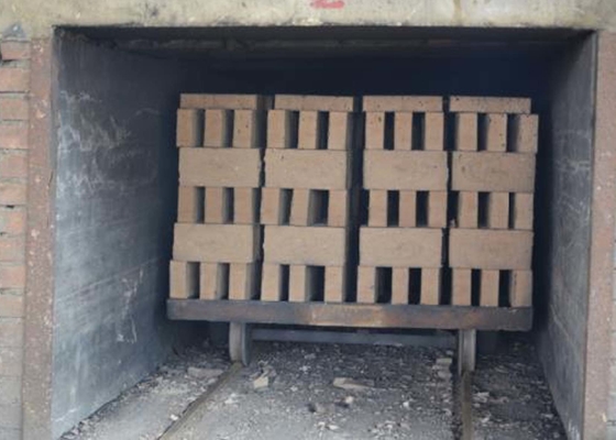Resistenza solida automatica di usura del carretto di Clay Brick Dryer Machine Dry dei semi