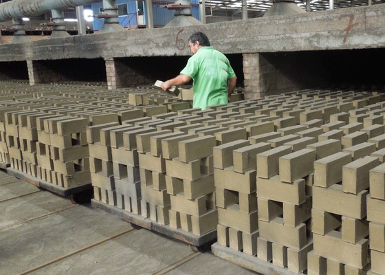 Resistenza solida automatica di usura del carretto di Clay Brick Dryer Machine Dry dei semi