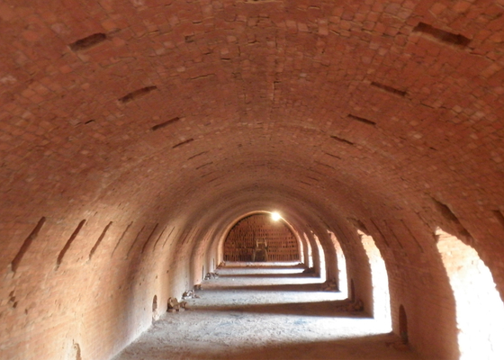 Linea di Clay Hollow Brick Machine Production per la pianta del forno di Hoffman