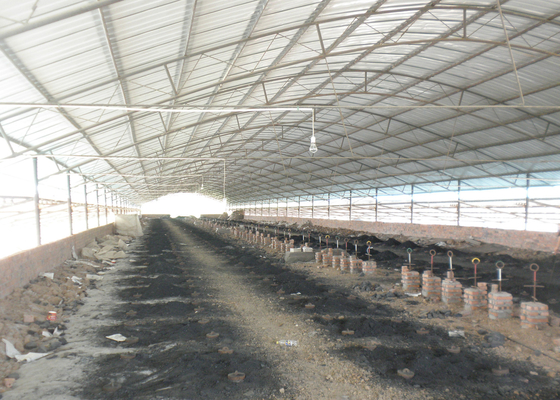Linea di Clay Hollow Brick Machine Production per la pianta del forno di Hoffman